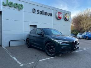 ALFA ROMEO STELVIO 2020 (70) at D Salmon Cars Colchester