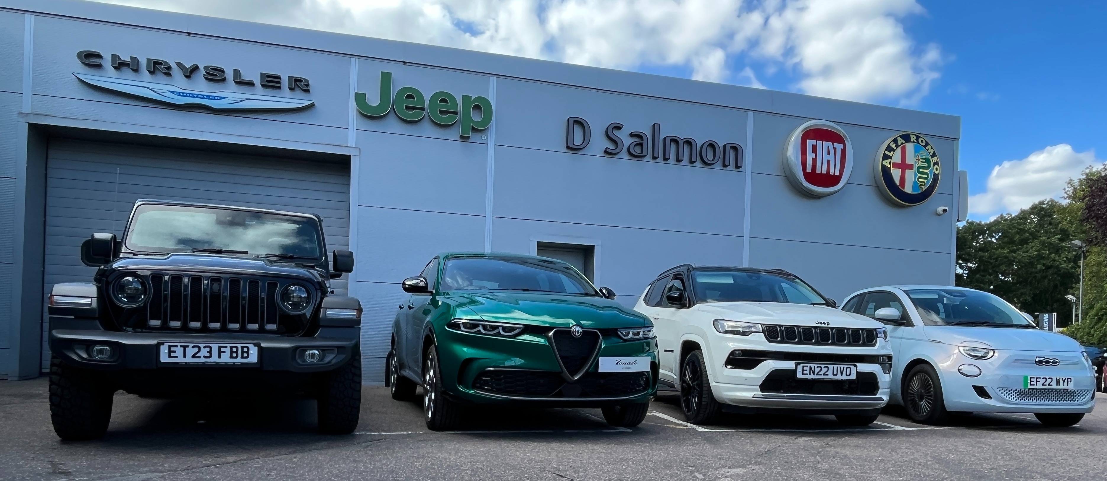 About D Salmon Cars